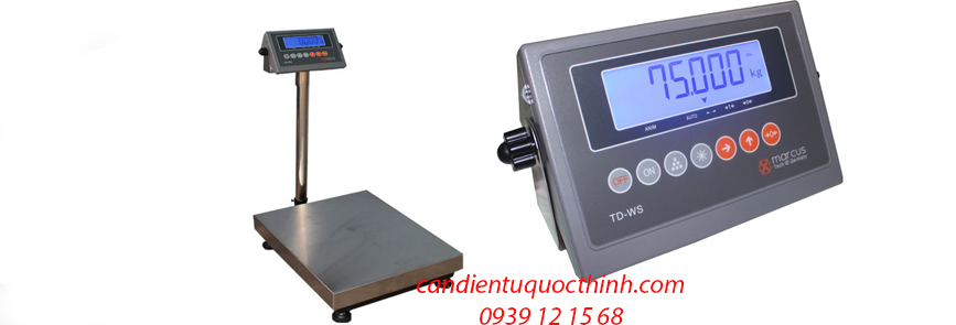 cân bàn điện tử TD-WS