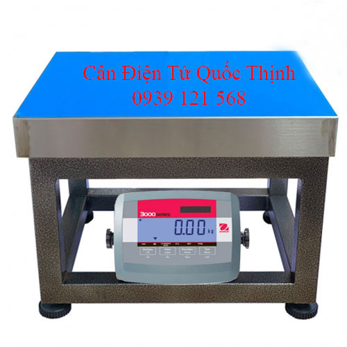 cân ghế điện tử ohaus t31p