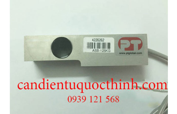 loadcell pt asb